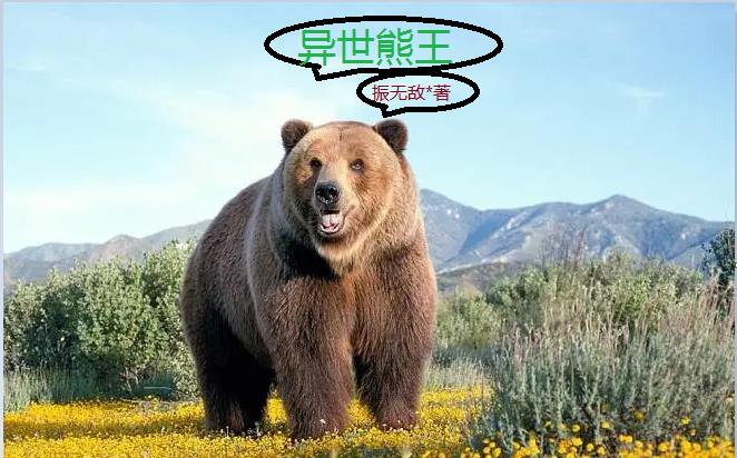 熊熊勇闯异世界小说十二